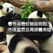 春节消费价格如何稳?市场监管总局部署关键举措(图3) 春节消费价格如何稳?市场监管总局部署关键举措(图3)