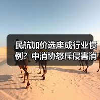 民航加价选座成行业惯例?中消协怒斥侵害消费者权益(图4) 民航加价选座成行业惯例?中消协怒斥侵害消费者权益(图4)
