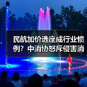 民航加价选座成行业惯例?中消协怒斥侵害消费者权益(图2) 民航加价选座成行业惯例?中消协怒斥侵害消费者权益(图2)