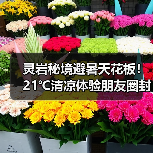 灵岩秘境避暑天花板！21℃清凉体验朋友圈封神（图1）