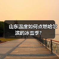 山东温度如何点燃哈尔滨的冰雪季?(图1) 山东温度如何点燃哈尔滨的冰雪季?(图1)