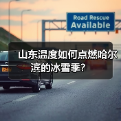 山东温度如何点燃哈尔滨的冰雪季?(图3) 山东温度如何点燃哈尔滨的冰雪季?(图3)