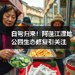 白鹭归来！阿蓬江湿地公园生态修复引关注（图1）