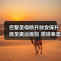 巴黎圣母院开放安保升级至奥运级别 重磅来袭(图3) 巴黎圣母院开放安保升级至奥运级别 重磅来袭(图3)