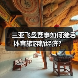 三亚飞盘赛事如何激活体育旅游新经济？（图1）