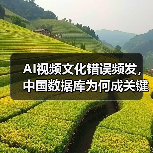 AI视频文化错误频发，中国数据库为何成关键？（图4）