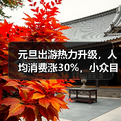 元旦出游热力升级，人均消费涨30%，小众目的地受追捧（图3）