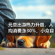 元旦出游热力升级，人均消费涨30%，小众目的地受追捧（图4）