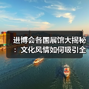 进博会各国展馆大揭秘：文化风情如何吸引全球游客（图3）