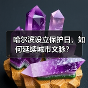 哈尔滨设立保护日，如何延续城市文脉？（图3）