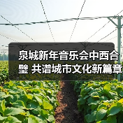 泉城新年音乐会中西合璧 共谱城市文化新篇章（图3）
