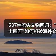 537件流失文物回归：