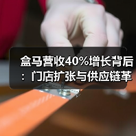 盒马营收40%增长背后：门店扩张与供应链革新如何驱动行业新趋势？（图4）
