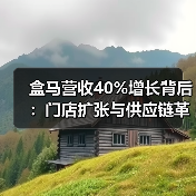 盒马营收40%增长背后：门店扩张与供应链革新如何驱动行业新趋势？（图3）