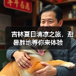 吉林夏日清凉之旅，避暑胜地等你来体验（图3）