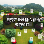 荆楚产业焕新机 供给升级势如虹（图4）