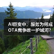 AI巨变中，服务为何成OTA竞争唯一护城河？（图3）