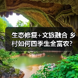 生态修复+文旅融合 乡村如何四季生金富农？（图4）