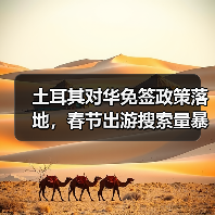 土耳其对华免签政策落地，春节出游搜索量暴涨（图3）