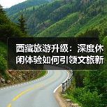 西藏旅游升级：深度休闲体验如何引领文旅新趋势？（图3）