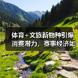 体育+文旅新物种引爆消费潜力，赛事经济如何变现？（图2）
