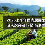 2025上半年国内居民出游人次突破32亿 城乡差异明显（图1）