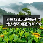 枣庄隐藏玩法揭秘!本地人都不知道的10个小众景点推荐(图1) 枣庄隐藏玩法揭秘!本地人都不知道的10个小众景点推荐(图1)