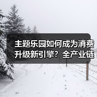 主题乐园如何成为消费升级新引擎？全产业链升级驱动消费变革（图4）