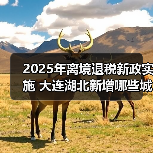 2025年离境退税新政实施 大连湖北新增哪些城市？