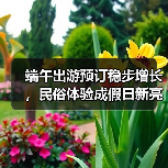 端午出游预订稳步增长，民俗体验成假日新亮点