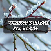 离境退税新政助力外国游客消费增长（图3）