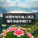中国年味引爆入境游，海外游客争相打卡