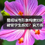昆明城市形象构建如何被留学生感知?官方叙事VS留学视角(图3) 昆明城市形象构建如何被留学生感知?官方叙事VS留学视角(图3)