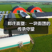 郎庄面塑:一块面团的传承守望(图1) 郎庄面塑:一块面团的传承守望(图1)