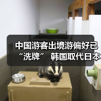 中国游客出境游偏好已“洗牌” 韩国取代日本成为最热目的地(图2) 中国游客出境游偏好已“洗牌” 韩国取代日本成为最热目的地(图2)