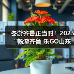 冬游齐鲁正当时!2025“畅游齐鲁 乐GO山东”冬季推广活动在青岛举办(图1) 冬游齐鲁正当时!2025“畅游齐鲁 乐GO山东”冬季推广活动在青岛举办(图1)