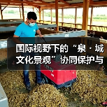 国际视野下的“泉・城文化景观”协同保护与活态传承主题系列活动在济启动(图2) 国际视野下的“泉・城文化景观”协同保护与活态传承主题系列活动在济启动(图2)