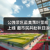 公园景区最美落叶景观上线 邀市民共赴秋日浪漫之约(图1) 公园景区最美落叶景观上线 邀市民共赴秋日浪漫之约(图1)
