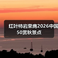 红叶柿岩荣膺2026中国50赏秋景点(图3) 红叶柿岩荣膺2026中国50赏秋景点(图3)