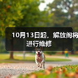 10月13日起,解放阁将进行维修(图4) 10月13日起,解放阁将进行维修(图4)