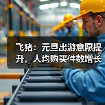 飞猪：元旦出游意愿提升，人均购买件数增长20%