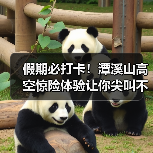 假期必打卡!潭溪山高空惊险体验让你尖叫不已(图4) 假期必打卡!潭溪山高空惊险体验让你尖叫不已(图4)