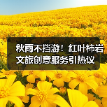 秋雨不挡游!红叶柿岩文旅创意服务引热议(图2) 秋雨不挡游!红叶柿岩文旅创意服务引热议(图2)