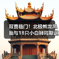 双喜临门！北极熊龙凤胎与18只小白狮同期诞生（图1）