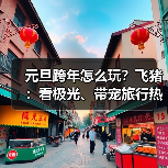元旦跨年怎么玩?飞猪:看极光、带宠旅行热度大增200%(图1) 元旦跨年怎么玩?飞猪:看极光、带宠旅行热度大增200%(图1)