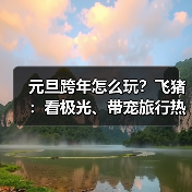 元旦跨年怎么玩?飞猪:看极光、带宠旅行热度大增200%(图3) 元旦跨年怎么玩?飞猪:看极光、带宠旅行热度大增200%(图3)