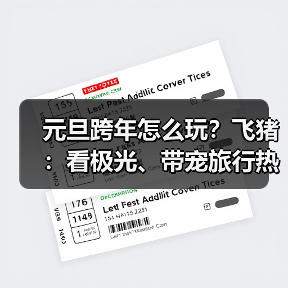 元旦跨年怎么玩?飞猪:看极光、带宠旅行热度大增200%(图4) 元旦跨年怎么玩?飞猪:看极光、带宠旅行热度大增200%(图4)