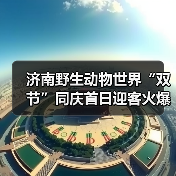 济南野生动物世界“双节”同庆首日迎客火爆(图3) 济南野生动物世界“双节”同庆首日迎客火爆(图3)