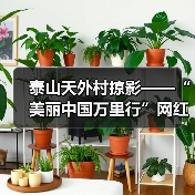 泰山天外村掠影——“美丽中国万里行”网红美景打卡地(图2) 泰山天外村掠影——“美丽中国万里行”网红美景打卡地(图2)