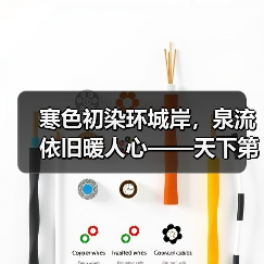 寒色初染环城岸，泉流依旧暖人心——天下第一泉初冬即景